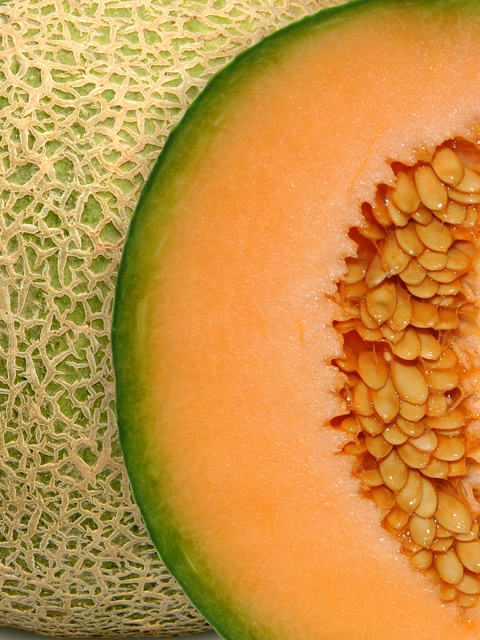 melon