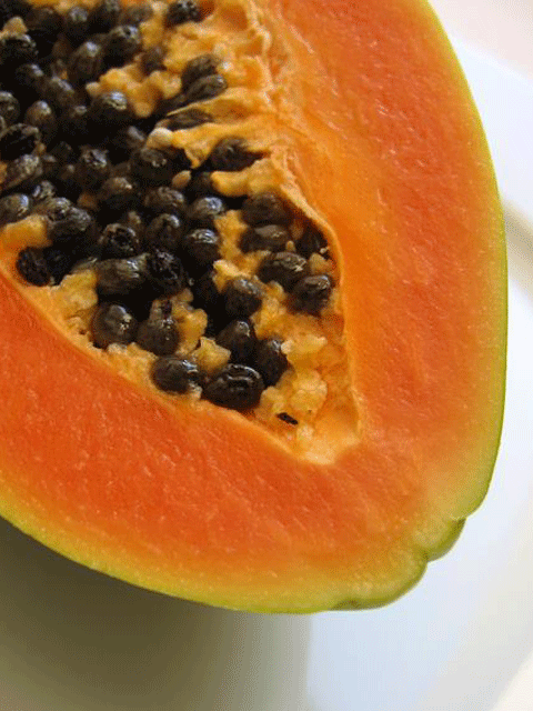 papaya